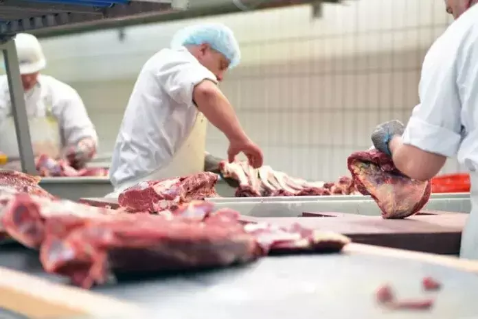 Some meat shops in Khammam city are playing with public health by selling rotten and stored meat