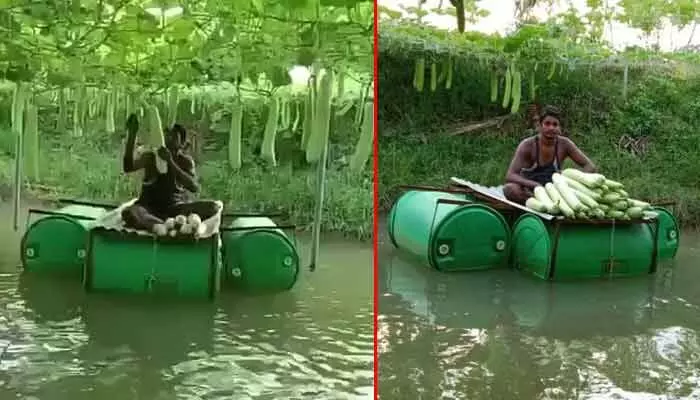 Viral : చెరువులో చేపలు.. పైన సొరకాయలు.. ఐడియా అదిరింది గురూ! Viral : చెరువులో చేపలు.. పైన సొరకాయలు.. ఐడియా అదిరింది గురూ!