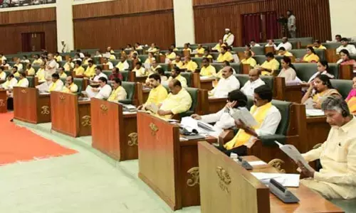 ఏపీ అసెంబ్లీలో జీరో అవర్ రద్దు.. లడ్డూ కల్తీపై సుదీర్ఘ చర్చకు నిర్ణయం
