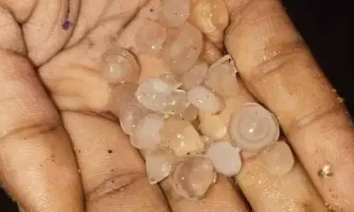 అకాల వర్షంతో అన్నదాతలు  ఆందోళన