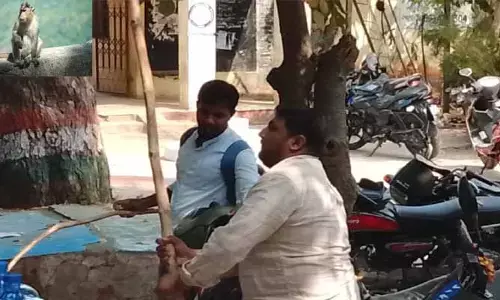 ఉద్యోగులను భయాందోళనలకు గురిచేస్తున్న వానర  సైన్యం