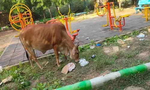పచ్చదనం పడకేసిన పాలమూరు పార్కులు