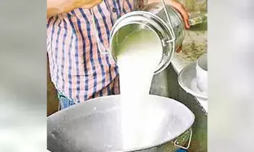 రాజమండ్రి కల్తీ పాల ఘటనలో నిందితుడు అరెస్ట్.. రిమాండ్