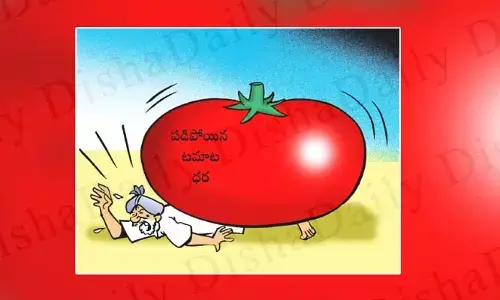 Disha Cartoon: టమోటా రైతుల ఆవేదన