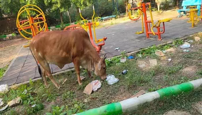 పచ్చదనం పడకేసిన పాలమూరు పార్కులు పచ్చదనం పడకేసిన పాలమూరు పార్కులు