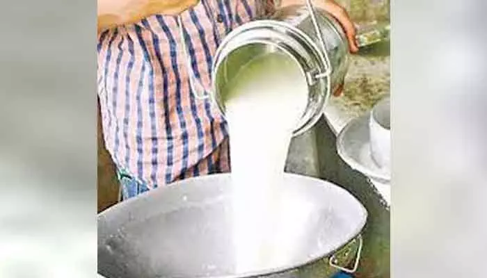 రాజమండ్రి కల్తీ పాల ఘటనలో నిందితుడు అరెస్ట్.. రిమాండ్ రాజమండ్రి కల్తీ పాల ఘటనలో నిందితుడు అరెస్ట్.. రిమాండ్
