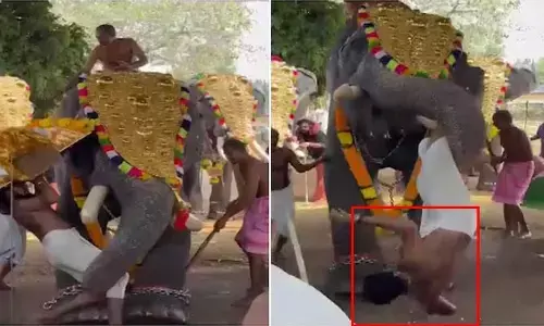 ఆలయ పూజారిని గాలిలోకి విసిరేసిన ఏనుగు.. ఉత్సవాల్లో చెలరేగిన భయాందోళనలు