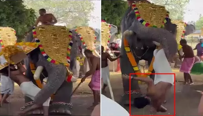 ఆలయ పూజారిని గాలిలోకి విసిరేసిన ఏనుగు.. ఉత్సవాల్లో చెలరేగిన భయాందోళనలు ఆలయ పూజారిని గాలిలోకి విసిరేసిన ఏనుగు.. ఉత్సవాల్లో చెలరేగిన భయాందోళనలు