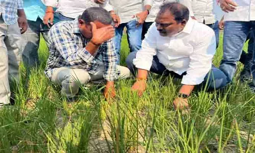 కాంగ్రెస్ అంటేనే క‌రువు..ప్ర‌భుత్వం పై మాజీ ఎమ్మెల్యే ఫైర్..!