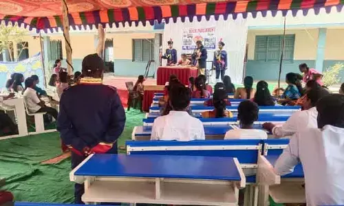 అలరించిన మాక్ పార్లమెంట్
