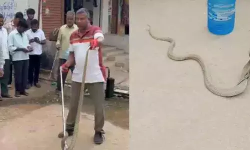 ఇంట్లోకి దూరిన పాము.. స్థానికులు ఏం చేశారంటే?