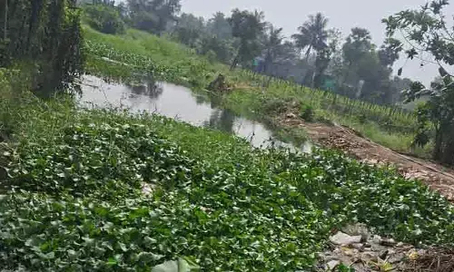 పంట పొలాలు మునక.. రైతులకు కన్నీరు