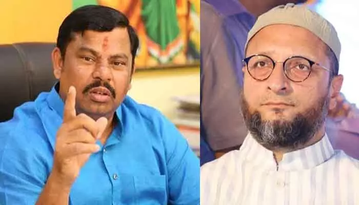కావాలంటే ఒవైసీకి ఫ్లైట్ టికెట్ నేను తీస్తా.. ఎమ్మెల్యే రాజాసింగ్ ఘాటు వ్యాఖ్యలు కావాలంటే ఒవైసీకి ఫ్లైట్ టికెట్ నేను తీస్తా.. ఎమ్మెల్యే రాజాసింగ్ ఘాటు వ్యాఖ్యలు