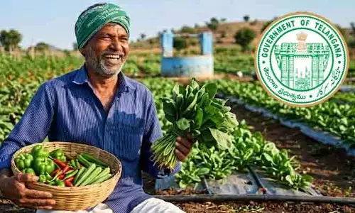 తెలంగాణలో ‘ఉద్యాన’ సిరులు.. కూరగాయల సాగుకే రైతుల మొగ్గు