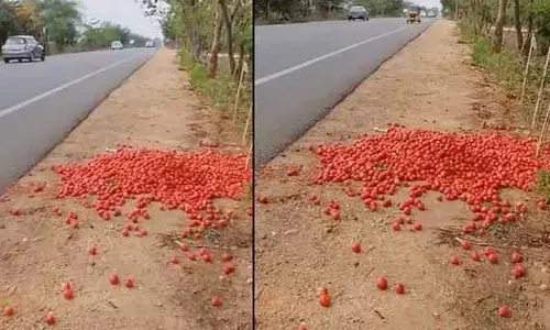 Tomato: ‘రోడ్డు’న పడిన టమాటా.. గిట్టుబాటు ధర లేక పంట పారబోత
