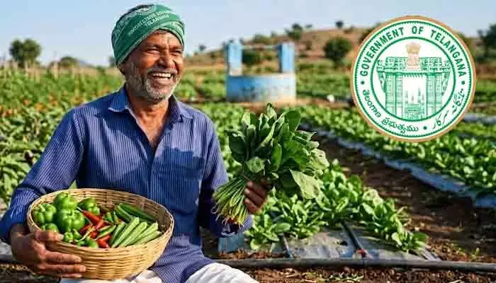 తెలంగాణలో ‘ఉద్యాన’ సిరులు.. కూరగాయల సాగుకే రైతుల మొగ్గు తెలంగాణలో ‘ఉద్యాన’ సిరులు.. కూరగాయల సాగుకే రైతుల మొగ్గు