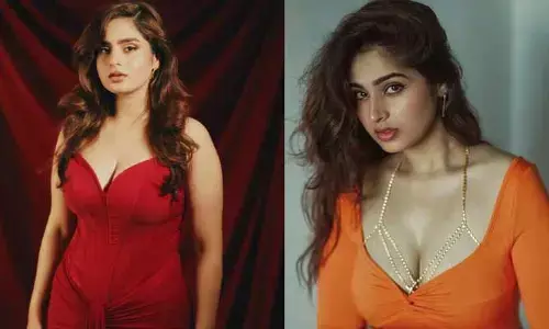 Ayesha Khan: నా పీరియడ్స్ మీకు నేషనల్ జోక్ అయిపోయిందా.. వ్యూస్ కోసం ఎంతకైనా తెగిస్తారా?