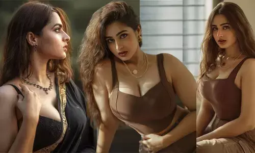 నాతో ఏం చేయాలనుకుంటున్నారో నీచంగా కామెంట్స్ చేస్తుంటారు.. వారిపై కఠిన చర్యలు తీసుకోవాలి: అయేషా ఖాన్