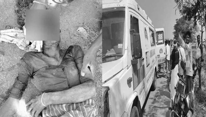 పిచ్చికుక్క స్వైర విహారం