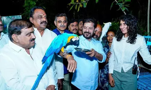 సినిమా షూటింగ్‌లపై CM రేవంత్ కీలక వ్యాఖ్యలు