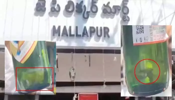 బీర్ బాటిల్లో ప్రత్యక్షమైన ‘చేప పిల్ల’.. అవాక్కైన మందుబాబులు బీర్ బాటిల్లో ప్రత్యక్షమైన ‘చేప పిల్ల’.. అవాక్కైన మందుబాబులు