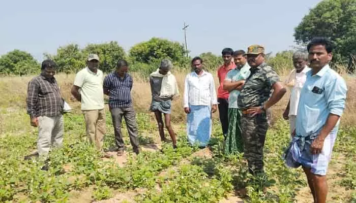 నర్సాయపల్లి ప్రాంతంలో చిరుతపులి కలకలం..! నర్సాయపల్లి ప్రాంతంలో చిరుతపులి కలకలం..!