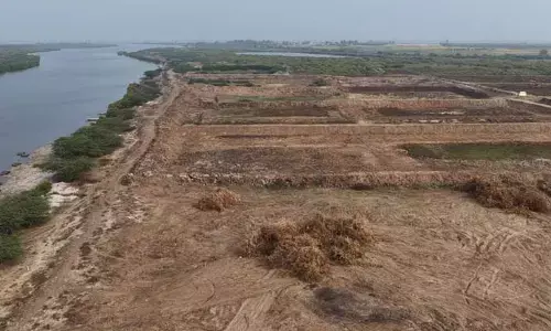 మడ అడవులపై దాడి.. మత్స్యకారుడి పోరాటం.. సముద్రతీరానికి ముప్పు!