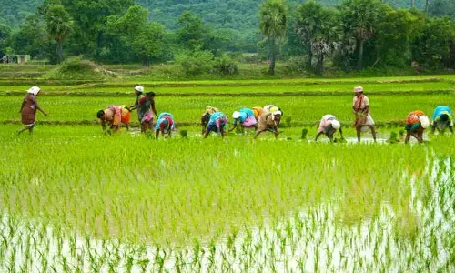 తెలంగాణ మహిళా రైతులకు గుడ్‌న్యూస్