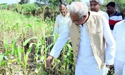 పొలానికి సెక్యూరిటీగా బౌన్సర్లు.. సీన్ కట్ చేస్తే 29 మంది ఎమ్మెల్యేలు సస్పెండ్.. అసలేం జరిగింది?