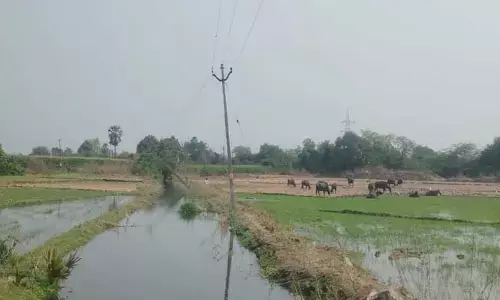 ఊయ‌ల‌లా ఊగుతున్న విద్యుత్ స్తంభాలు