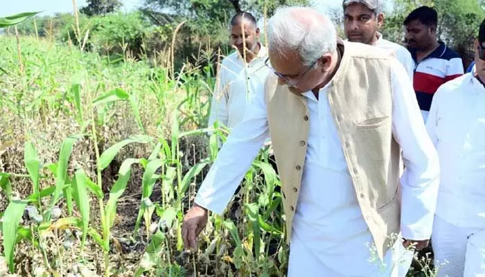 పొలానికి సెక్యూరిటీగా బౌన్సర్లు.. సీన్ కట్ చేస్తే 29 మంది ఎమ్మెల్యేలు సస్పెండ్.. అసలేం జరిగింది? పొలానికి సెక్యూరిటీగా బౌన్సర్లు.. సీన్ కట్ చేస్తే 29 మంది ఎమ్మెల్యేలు సస్పెండ్.. అసలేం జరిగింది?