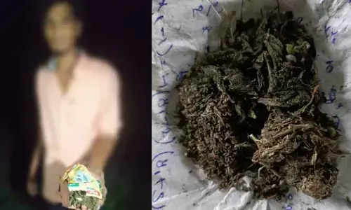 గ్రామాల గల్లీల్లో గంజాయి.. మత్తులో యువత చిత్తు