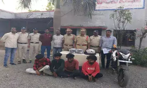 8 కిలోల ఇంటి గంజాయి పట్టివేత