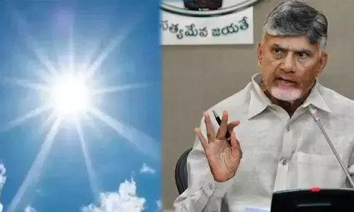 వేసవిపై బిగ్ అలర్ట్.. కలెక్టర్లకు సీఎం చంద్రబాబు కీలక ఆదేశాలు