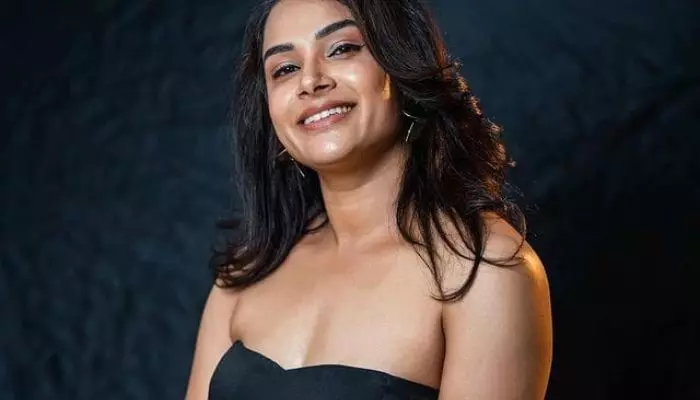 Hari Teja: ఆ పాత్రకు నేను బ్రాండ్ అంబాసిడర్లా మారాను Hari Teja: ఆ పాత్రకు నేను బ్రాండ్ అంబాసిడర్లా మారాను