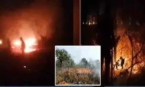 నల్లమలలో భారీ కార్చిచ్చు.. మహానంది సమీపంలో ఎగిసిపడిన మంటలు