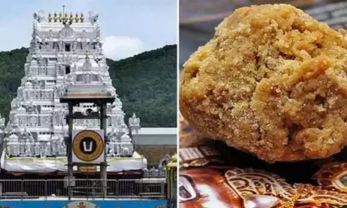 జంతువుల కొవ్వు కలిసిందనడానికి మీరేమైనా నిపుణులా..TTD లడ్డూ వివాదంపై  సుప్రీం
