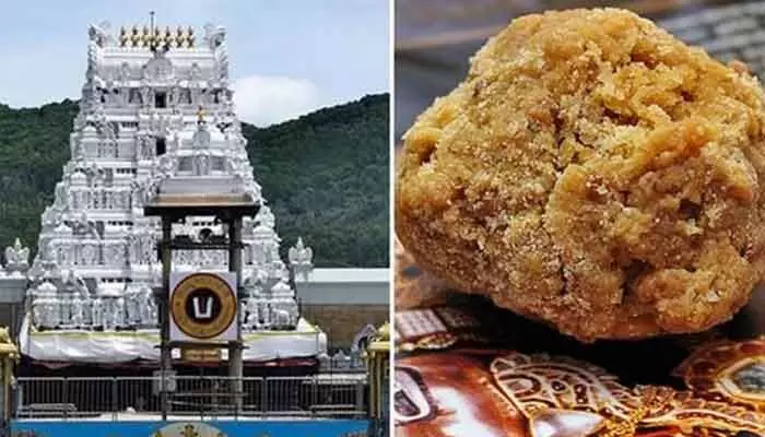 జంతువుల కొవ్వు కలిసిందనడానికి మీరేమైనా నిపుణులా..TTD లడ్డూ వివాదంపై సుప్రీం జంతువుల కొవ్వు కలిసిందనడానికి మీరేమైనా నిపుణులా..TTD లడ్డూ వివాదంపై సుప్రీం
