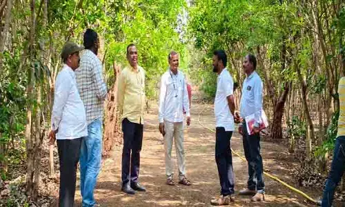 పల్లె ప్రకృతి వనం సందర్శించిన జిల్లా అధికారులు