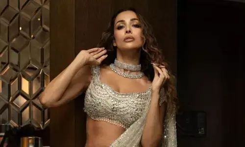 Malaika: మలైకా డేటింగ్ వార్తలపై స్పందించిన బాయ్ ఫ్రెండ్
