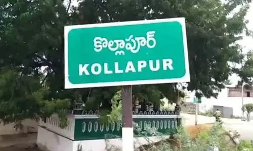 ఎస్సీ యాక్షన్ ప్లాన్ లో మండలానికి 10 యూనిట్లు మంజూరు