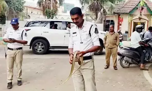 తెలంగాణ అసెంబ్లీలో షాకింగ్ ఘటన.. పోలీసులు సైతం భయంతో పరుగులు