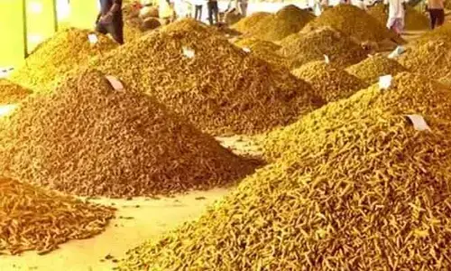ఐదు రోజుల వ‌ర‌కు నిజామాబాద్ మార్కెట్ యార్డు బంద్