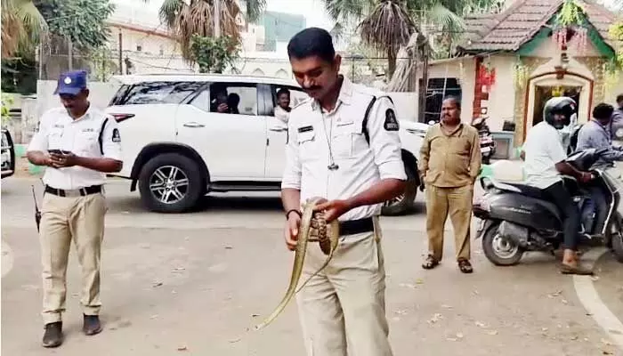 తెలంగాణ అసెంబ్లీలో షాకింగ్ ఘటన.. పోలీసులు సైతం భయంతో పరుగులు తెలంగాణ అసెంబ్లీలో షాకింగ్ ఘటన.. పోలీసులు సైతం భయంతో పరుగులు