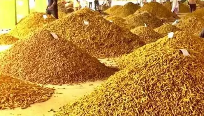 ఐదు రోజుల వరకు నిజామాబాద్ మార్కెట్ యార్డు బంద్ ఐదు రోజుల వరకు నిజామాబాద్ మార్కెట్ యార్డు బంద్