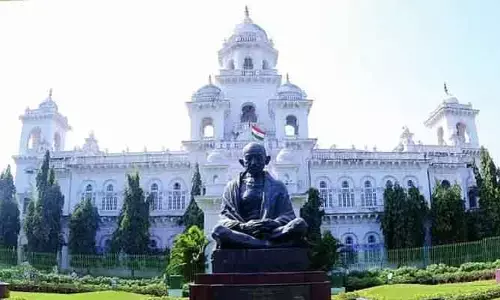 ఎర్రజోన్నలకు మద్దతు ధర కల్పించాలి: జీరో అవర్‌లో సభ్యుల విన్నపాలు