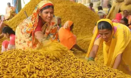 అంతా.. సిండికేట్‌!..పసుపు రైతుల గోడు !