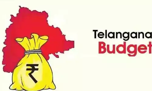 తెలంగాణ బడ్జెట్‌లో ఆ మూడు రంగాలపైనే ఫోకస్