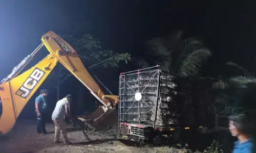 దమ్మపేటలో రోడ్డు ప్రమాదం.. మూడు వేల బాతులు మృతి