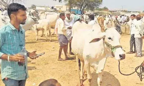 కొండ‌ప‌ల్లేప‌ల్లి సంత బ‌హిరంగ వేలం